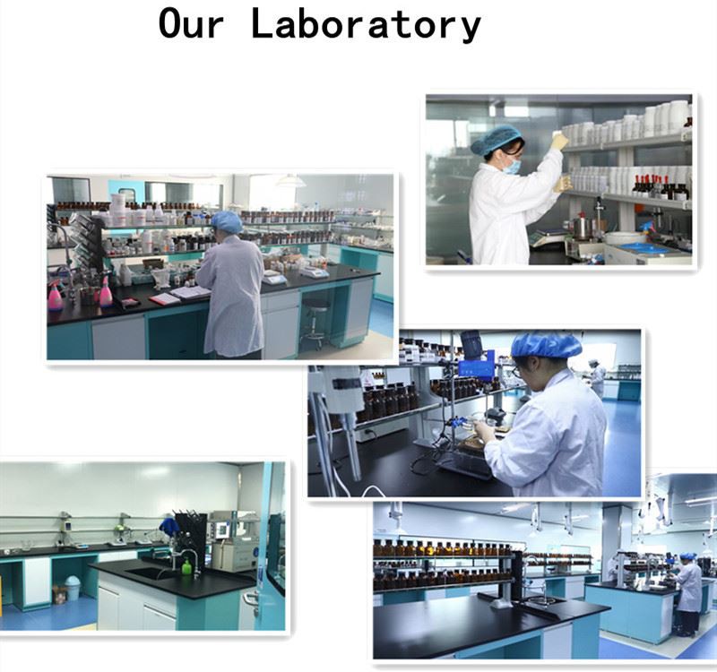 Company Introduction1