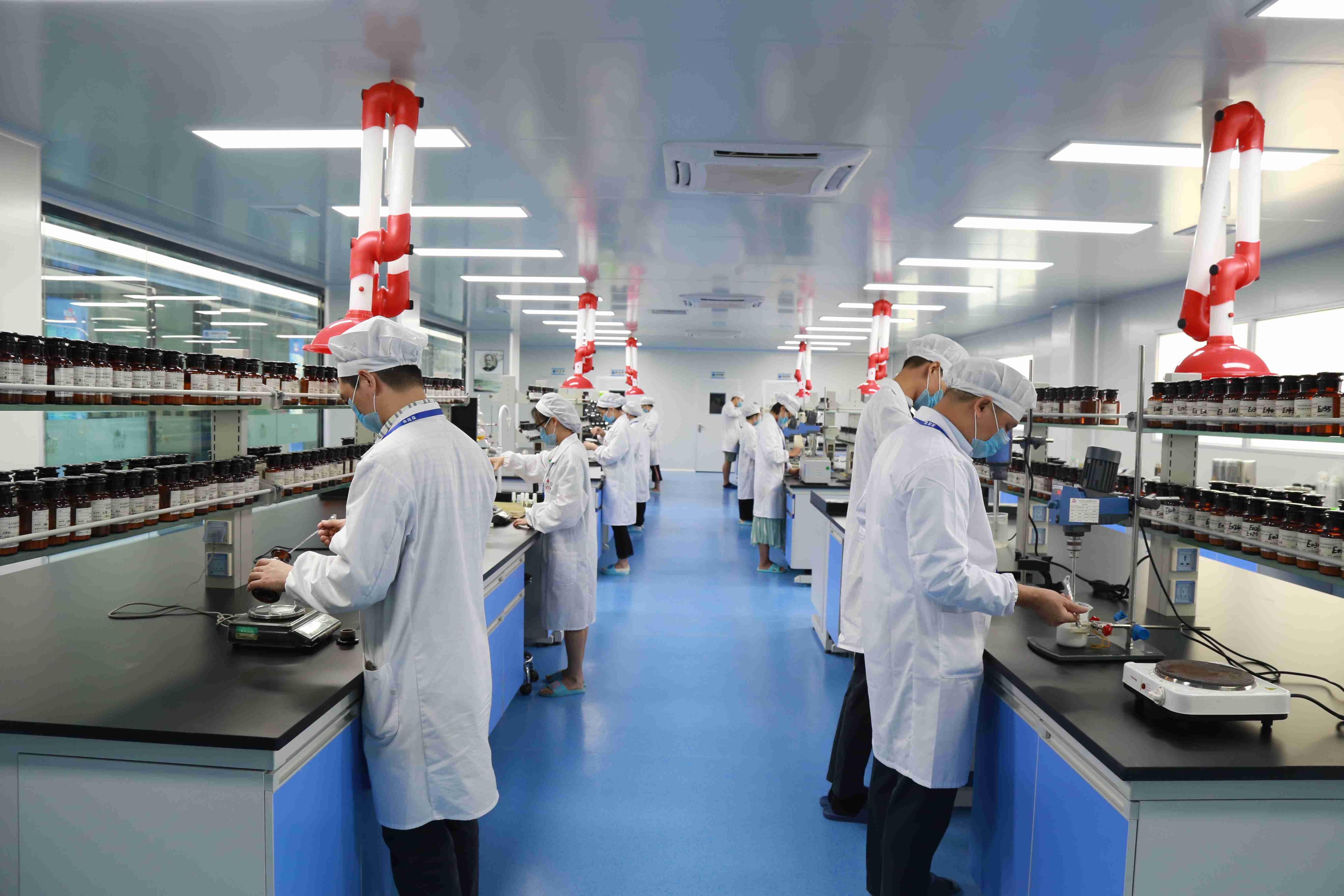 Labrador of skin care